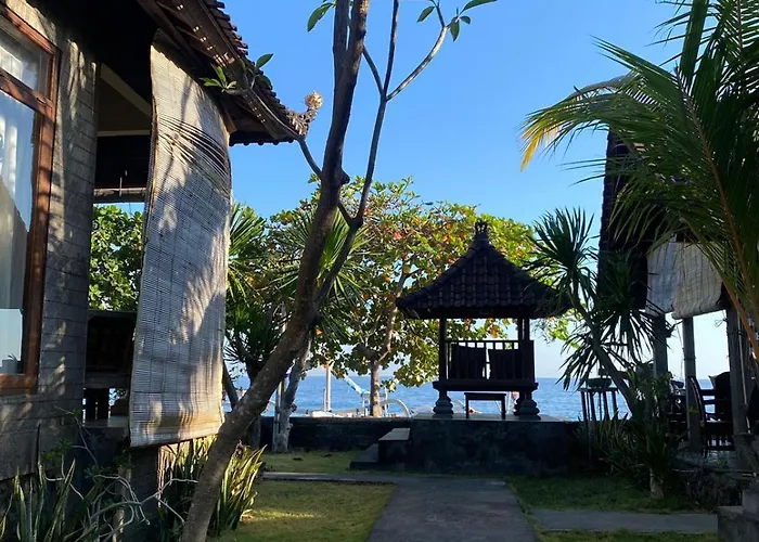 Putra'lebah アメッド